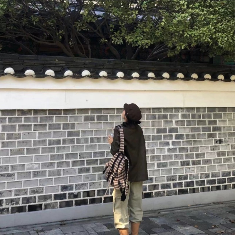 Harajuku Vintage Backpack Wome - đánh giá và giá Women'S Vegan Bags
